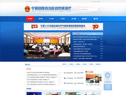 寧夏自然資源廳網(wǎng)站建設(shè)案例